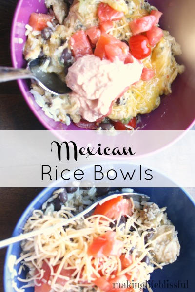 rice bowls 7