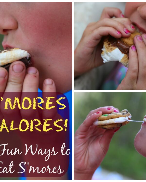 Smores Galores1