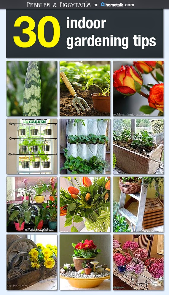 
indoor gardening tips