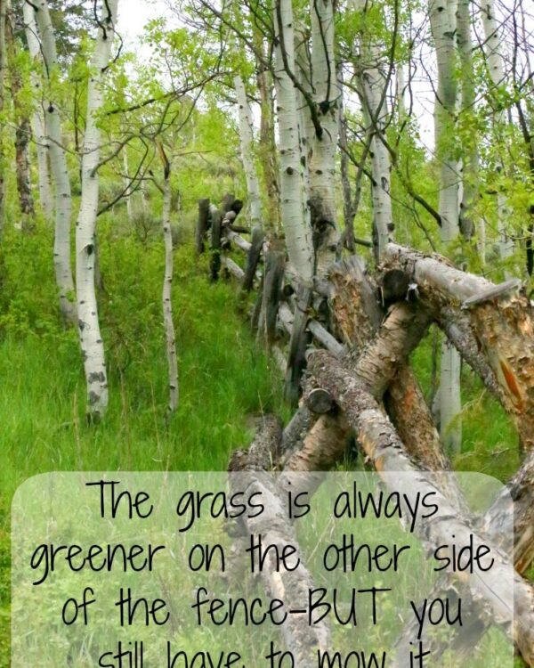 grass is always greener quote