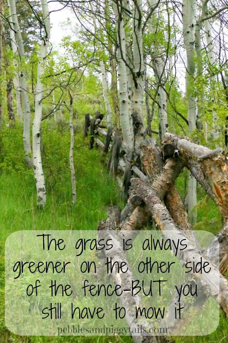 Grass Is Always Greener Quote