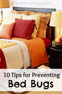 bed bug prevention1