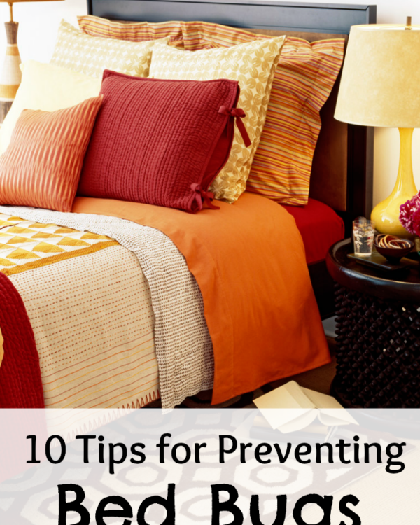 bed bug prevention1