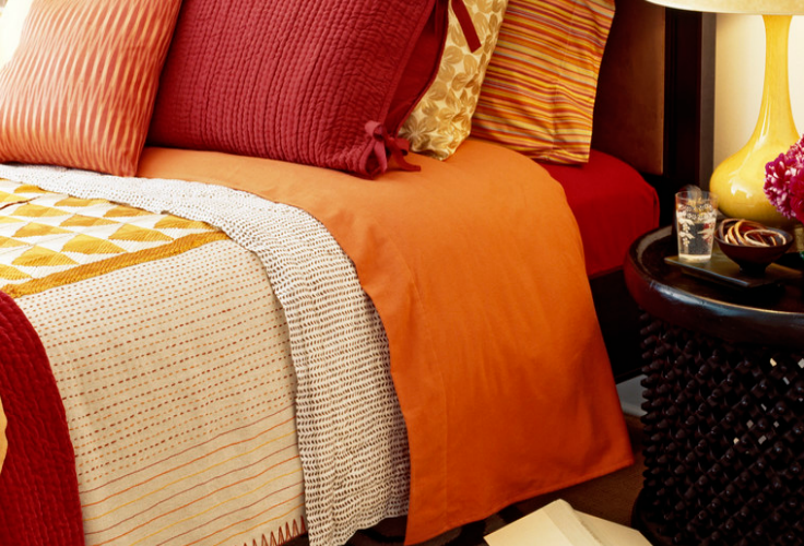 10 Tips for Preventing BED BUGS!