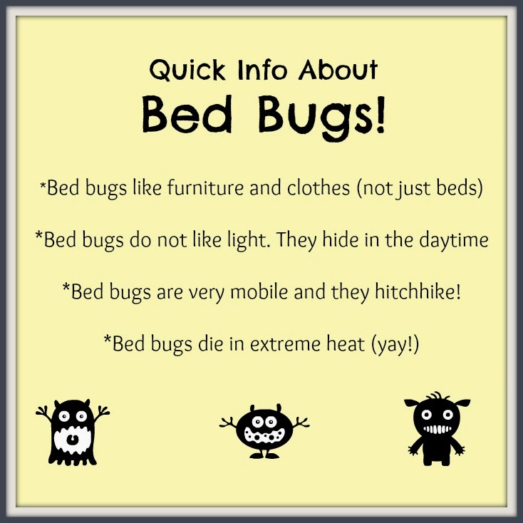 Top 5 Tips for Preventing Bed Bugs