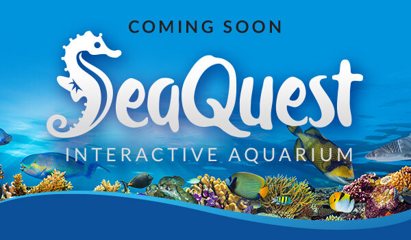 seaquestaquariumslide