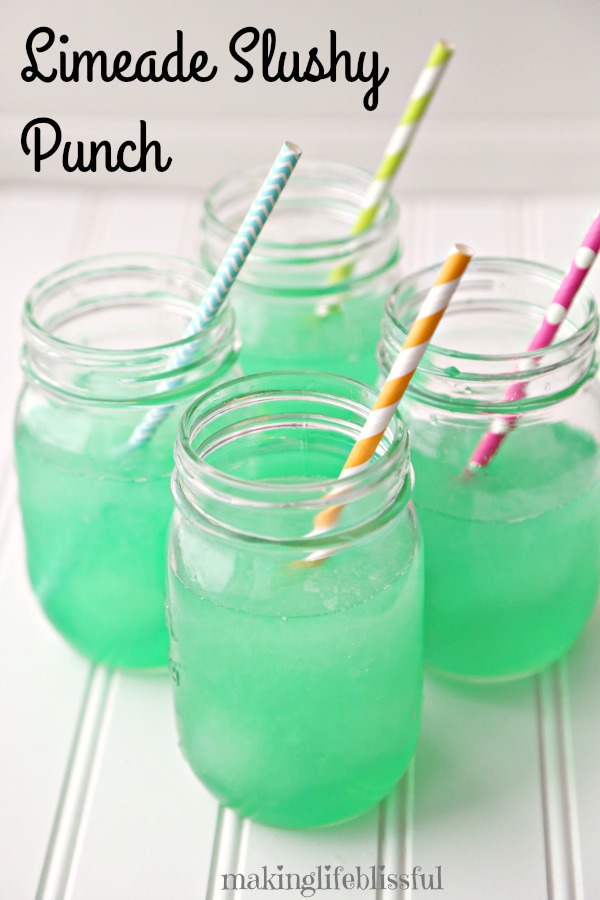 Summer Slush Party Punch Recipe