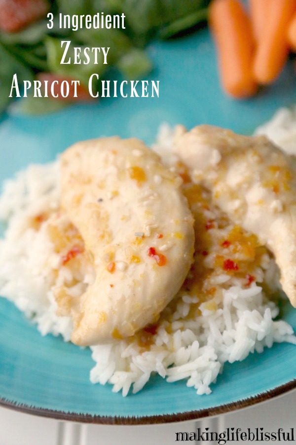 Easy 3 Ingredient Apricot Chicken in the Crockpot