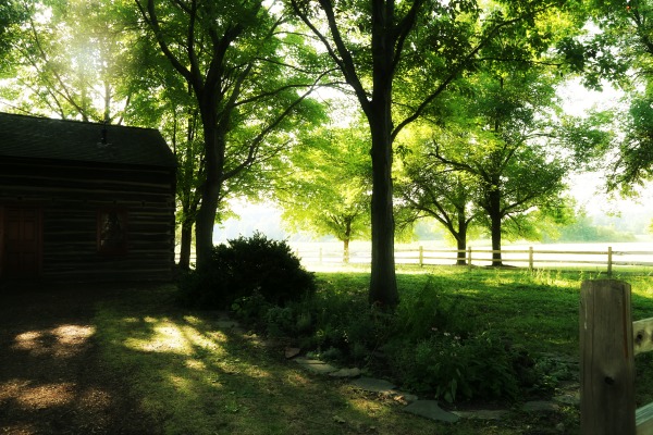 Whitmer Farm in Fayette New York