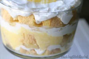 pina colada trifle 6