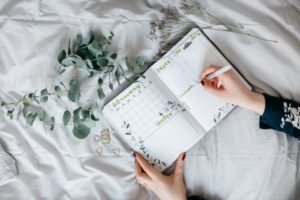 the journal garden vera bitterer Ae2VSuCqK7Y unsplash