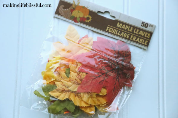 Thanksgiving-turkey-craft-leaves