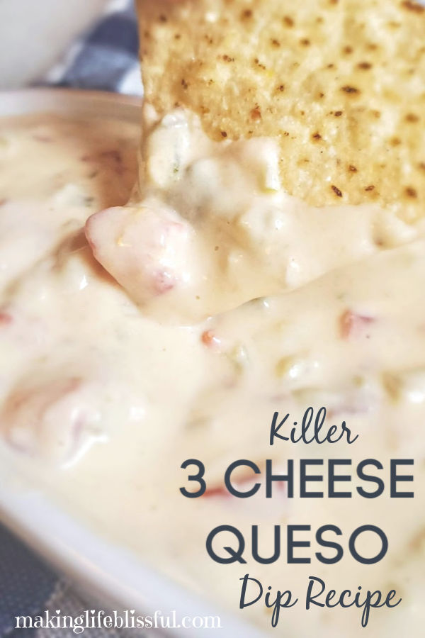 3 cheese queso dip recipe | Making Life Blissful