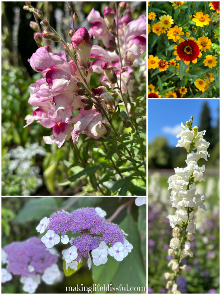 collage-of-flowers-at-butchart-gardens