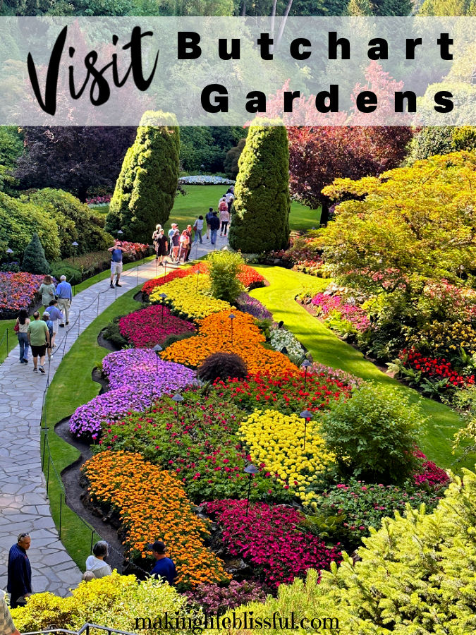 View-of-many-flowers-at-butchart-gardens-in-canada