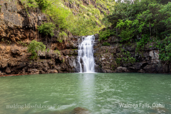 Should I Visit Waimea Valley in Oahu?