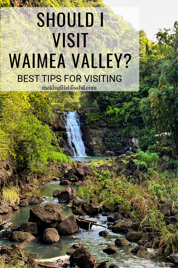 waimea-falls-in-waimea-valley-tropical-forest