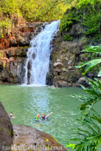 people-swimming-in-waimea-falls