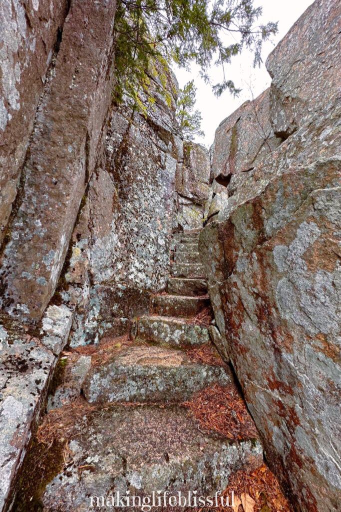 hikes-at-acadia-with-rocky-steps-at-sieur-de-monts-trail