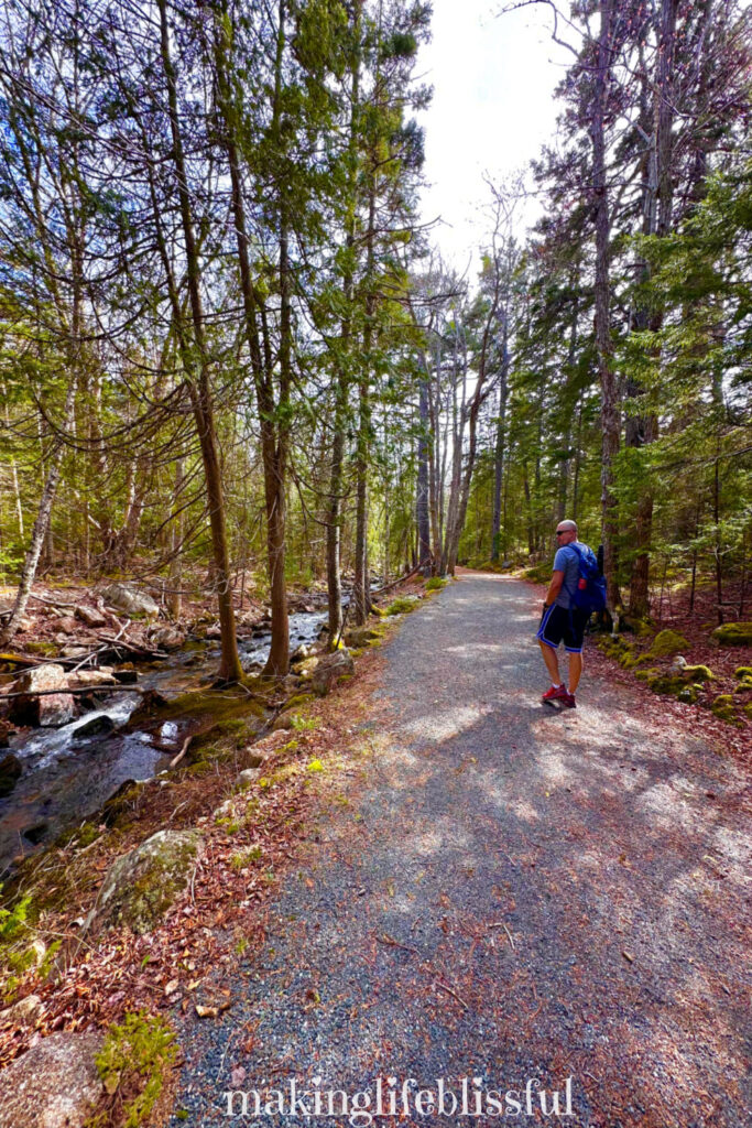 family-friendly-hikes-at-acadia-carriage-roads-gravel-path