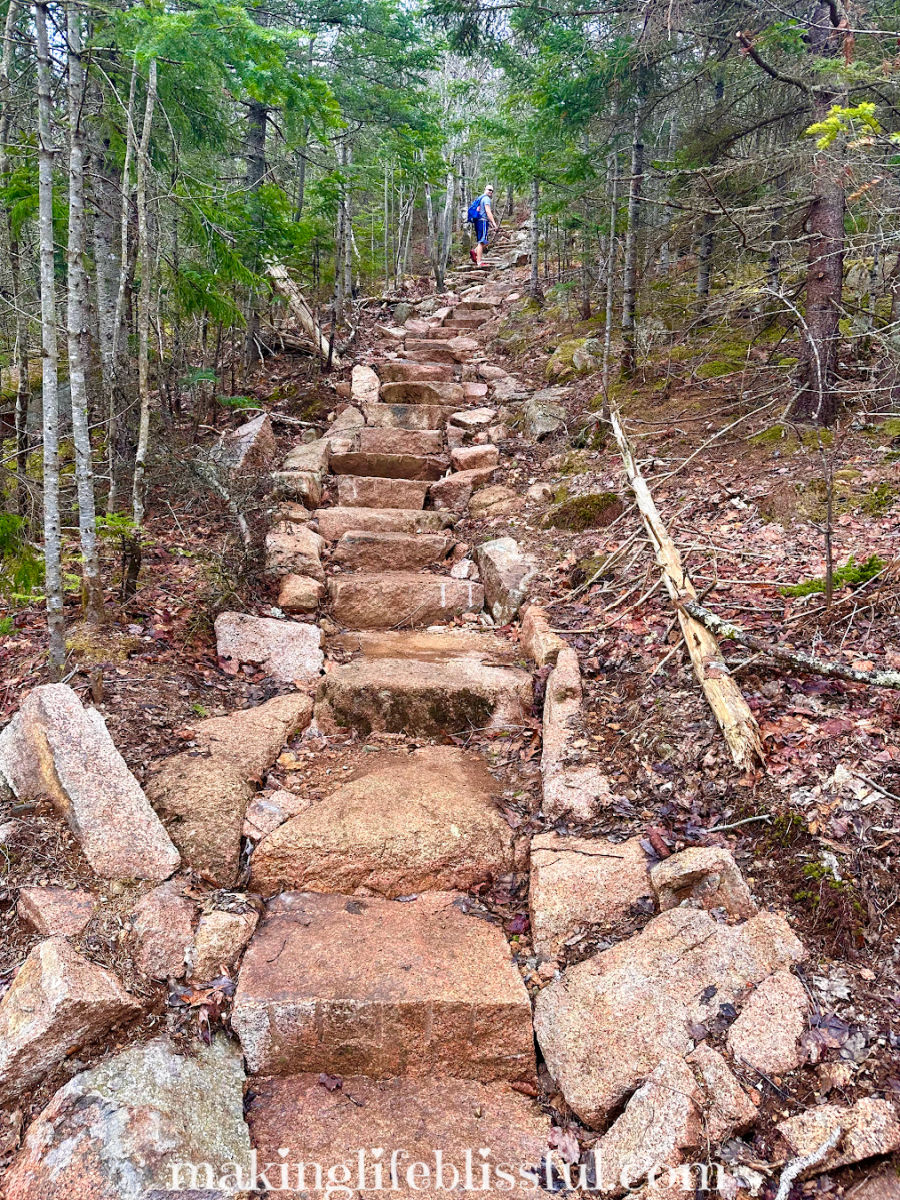 hikes-at-acadia-with-granite-steps-along-trail