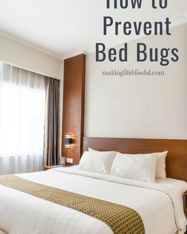 bed-image-how-to-prevent-bed-bugs-title