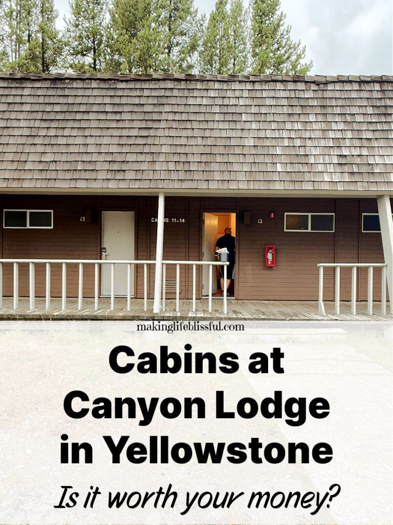 Review of Cabins at Yellowstone review-of-brown-cabins-at-canyon-lodge-yellowstone